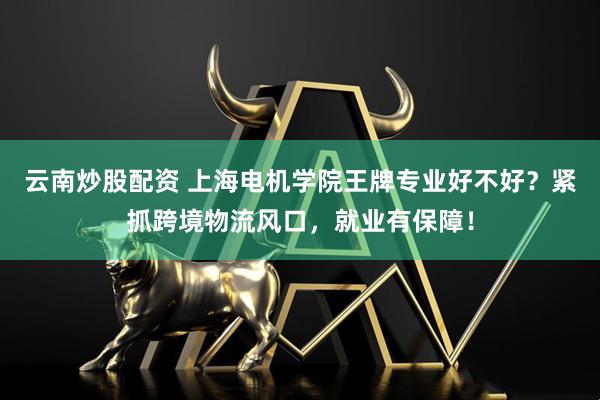 云南炒股配资 上海电机学院王牌专业好不好？紧抓跨境物流风口，就业有保障！